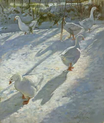 Exploration de la pente